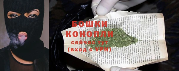 крисы Белоозёрский