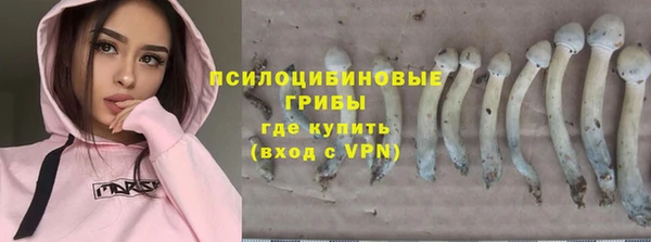 spice Беломорск