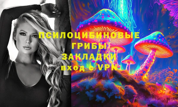 крисы Белоозёрский