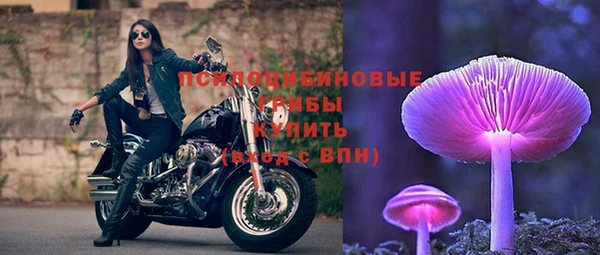 spice Беломорск