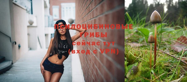 spice Беломорск